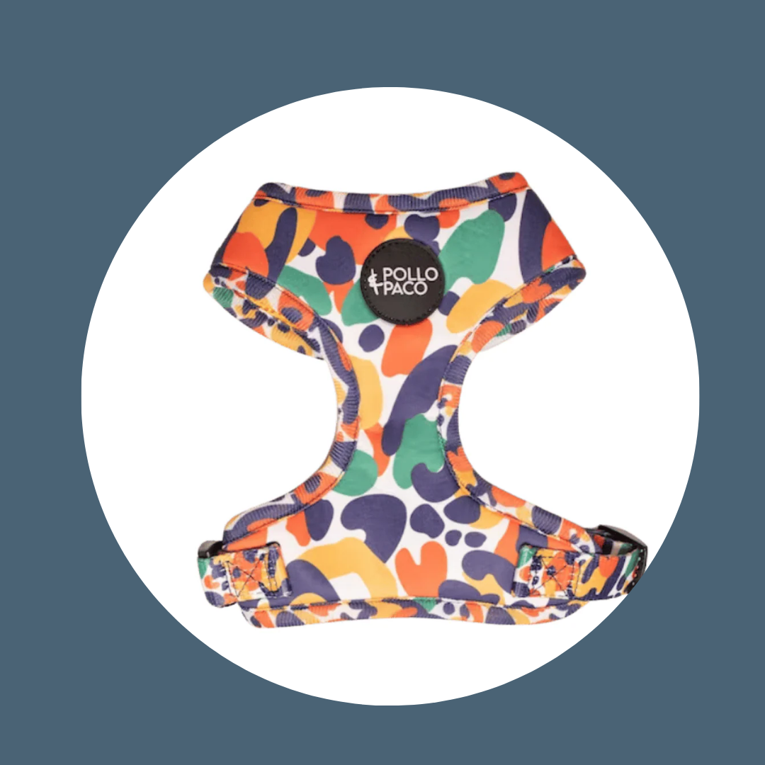 Harnais ajustable multicolor – Pollo&Paco