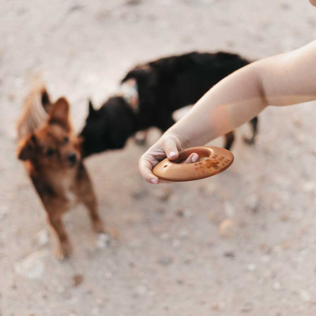 Jouet pour chien Rub Fly – 100 % résine naturelle