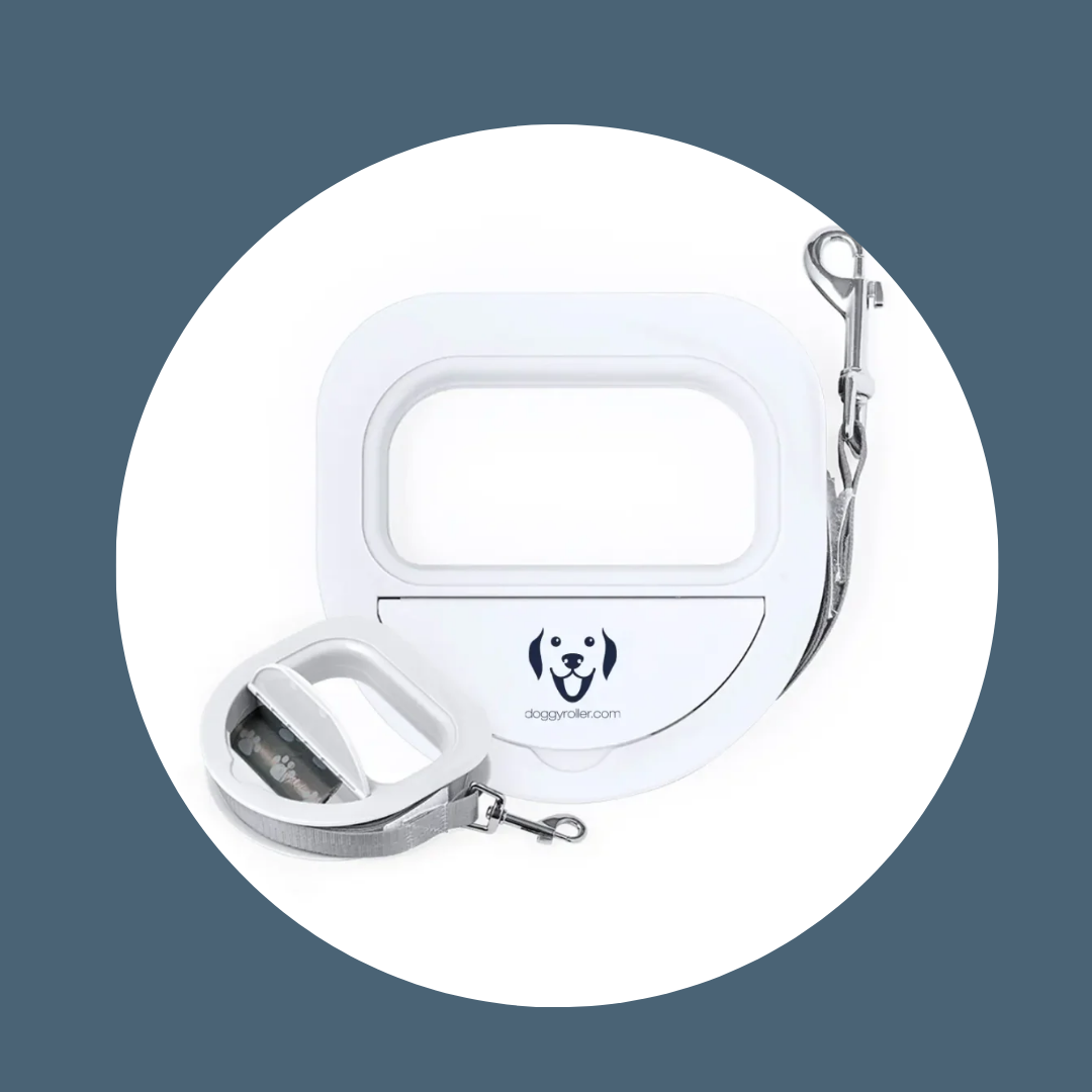 Laisse pour chien avec sac à crottes