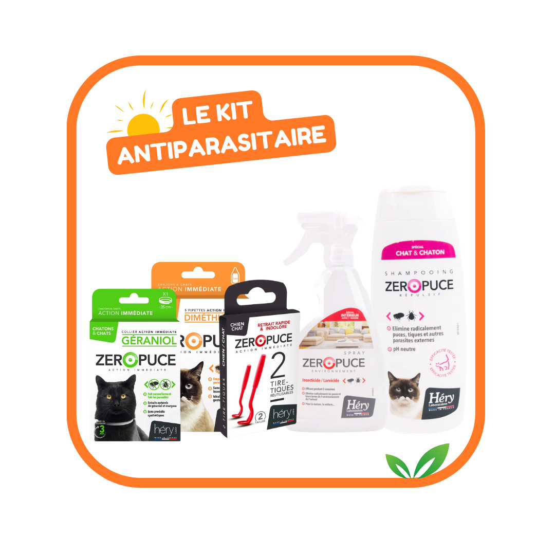 Kit Antiparasitaire pour chat – Pour bien préparer l'été !