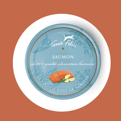 Pâtée au saumon Terra Félis (80gr)