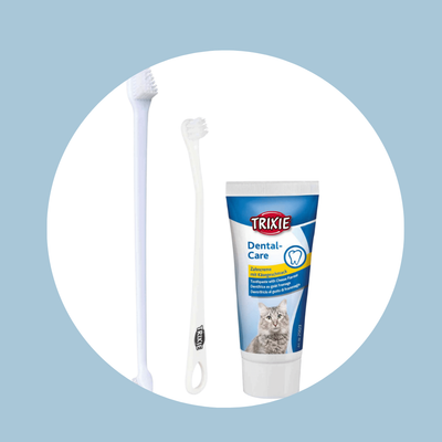 Set hygiène dentaire