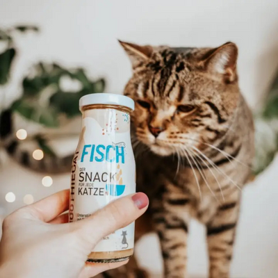 Smoothie Fish Cat Snack naturel pour chats sans sucre
