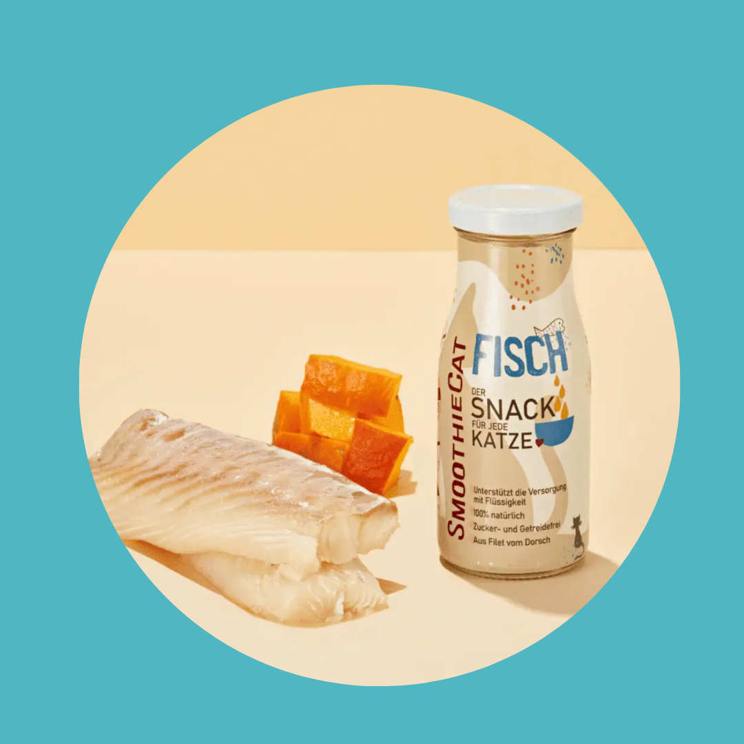 Smoothie Fish Cat Snack naturel pour chats sans sucre