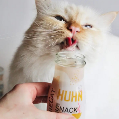 Smoothie pour chat, poulet, collation naturelle pour chats, sans sucre