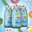 Smoothie pour chien - Pool Pawty