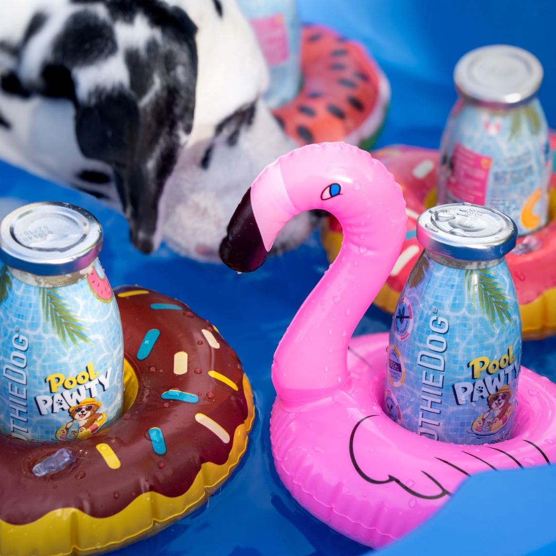 Smoothie pour chien - Pool Pawty