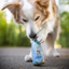 Smoothie pour chien - Pool Pawty