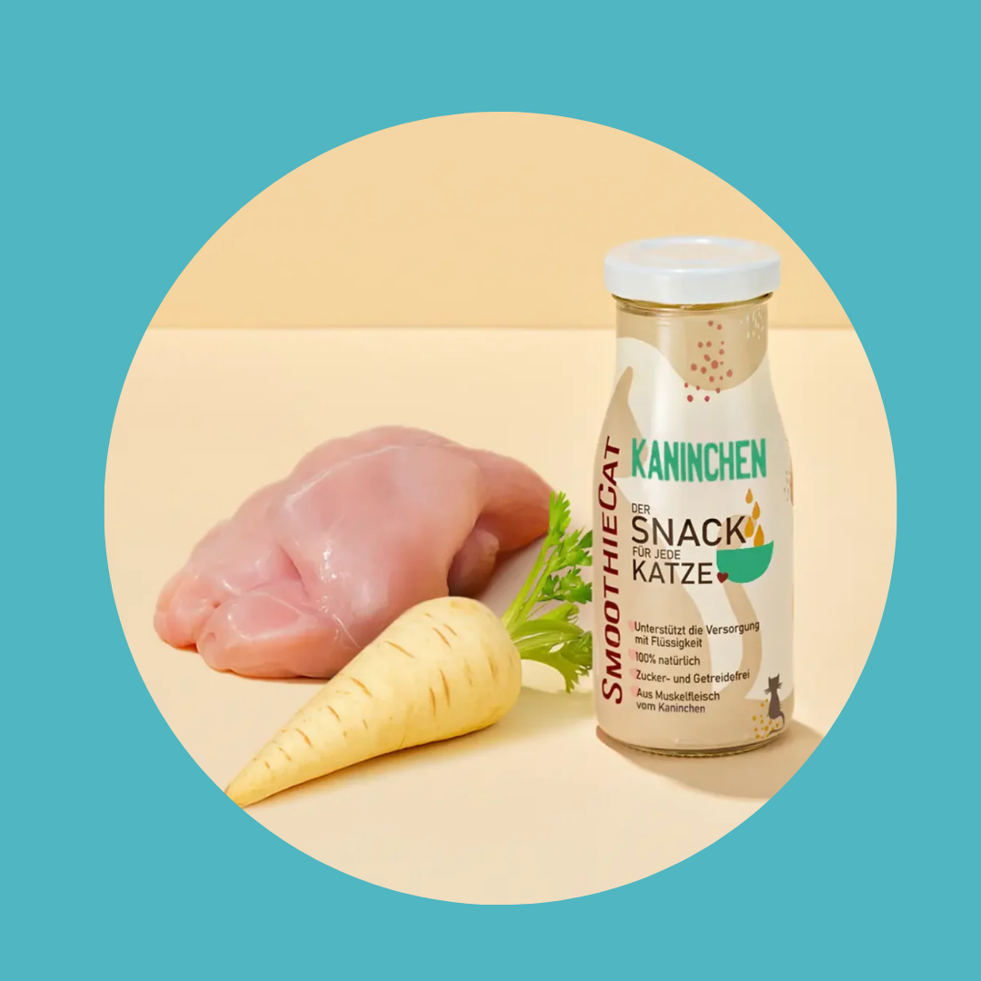 Smoothie au Lapin, snack naturel pour chat, sans sucre