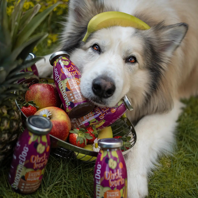 Smoothie pour chien - Panier de fruits Snack naturel pour chien, sans sucre