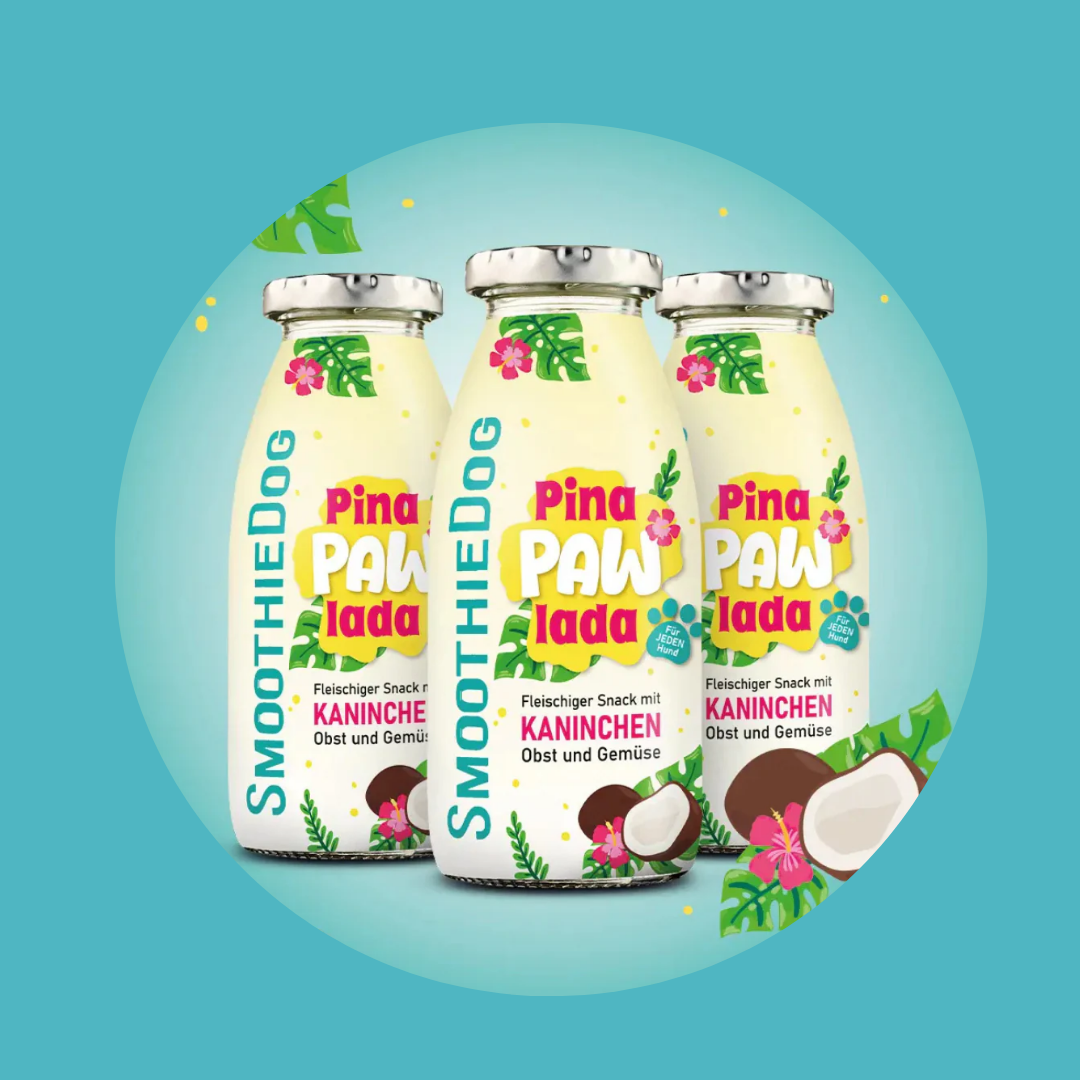 Smoothie pour chiens PinaPawLada (sans sucre)