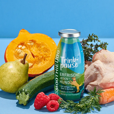 Smoothie au canard, collation naturelle pour chiens, sans sucre