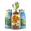 Smoothie au canard, collation naturelle pour chiens, sans sucre