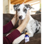 Soin nettoyant oreilles chien & chat “Murmure”