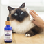 Soin nettoyant oreilles chien & chat “Murmure”