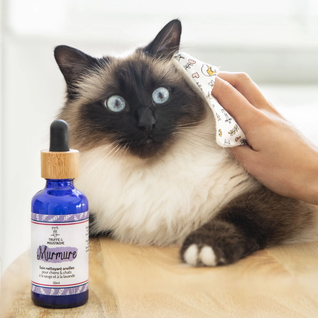 Soin nettoyant oreilles chien & chat “Murmure”