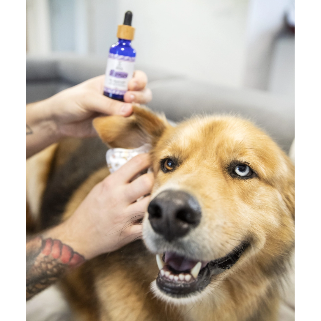 Soin nettoyant oreilles chien & chat “Murmure”