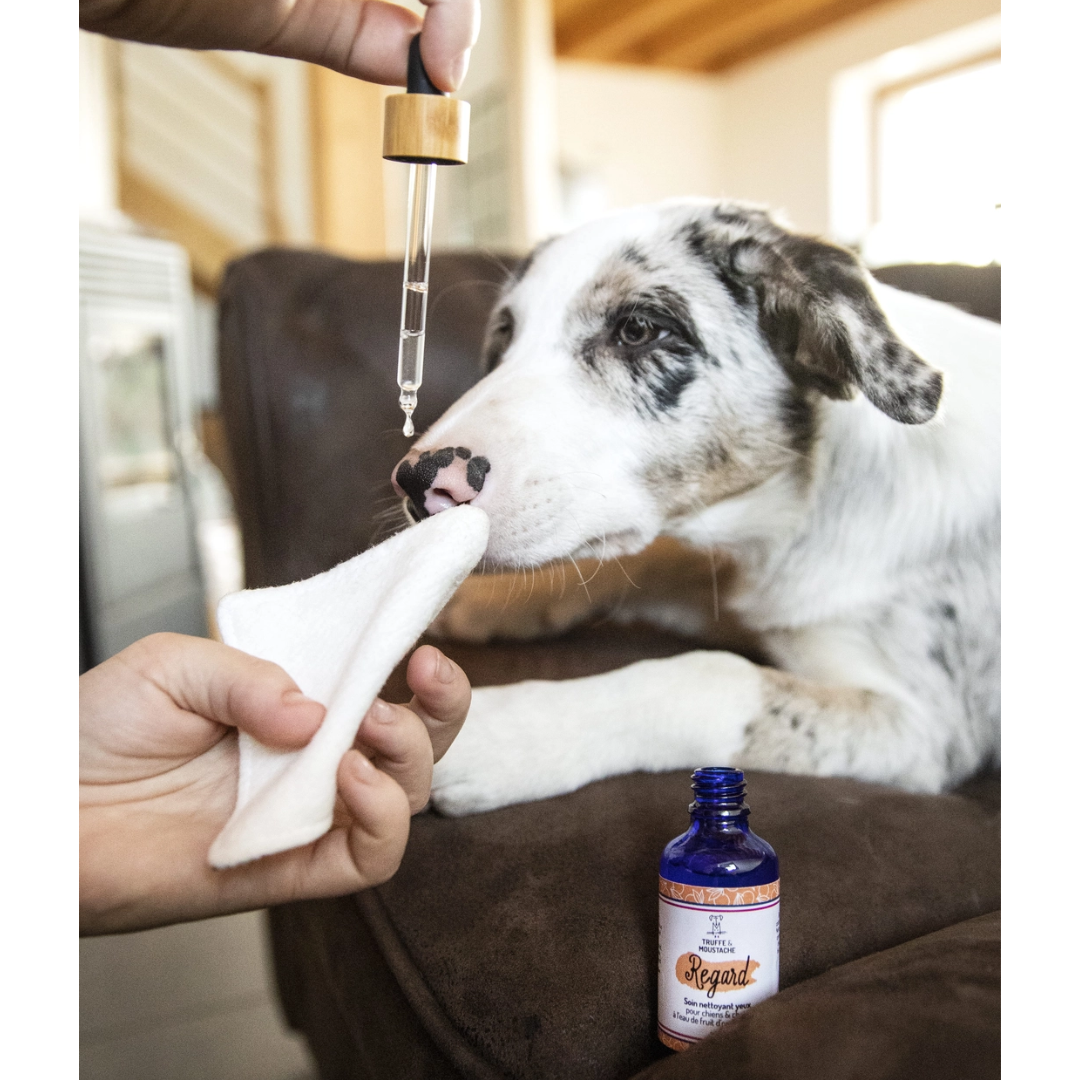 Soin nettoyant yeux chien & chat “Regard” 98,5 % d’origine naturelle