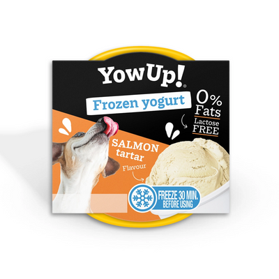 Tartare de saumon au yogourt et à la crème glacée YowUp - Lactose