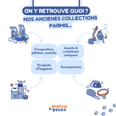 Coffret Mystère Patoo