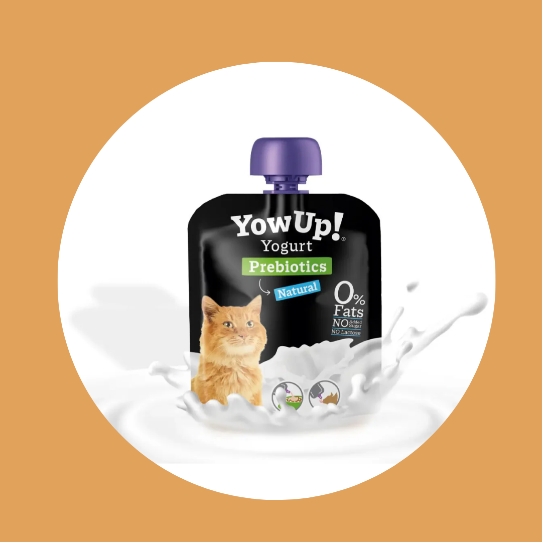 Yaourt naturel YowUp pour chats sans lactose