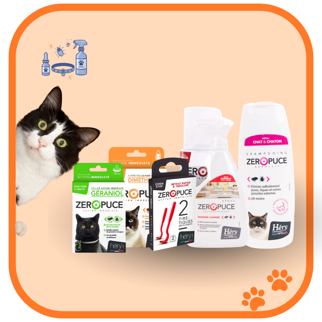 Antiparasitaire chat