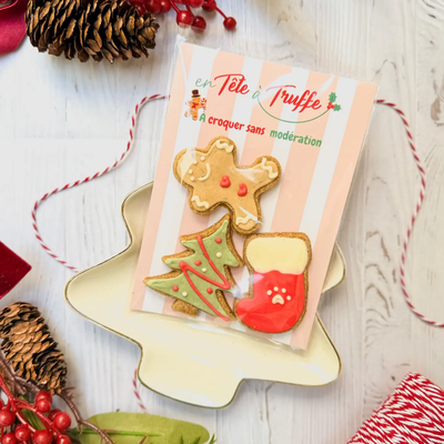 Sachet de 3 friandises pour chien – Edition Noël 🎄