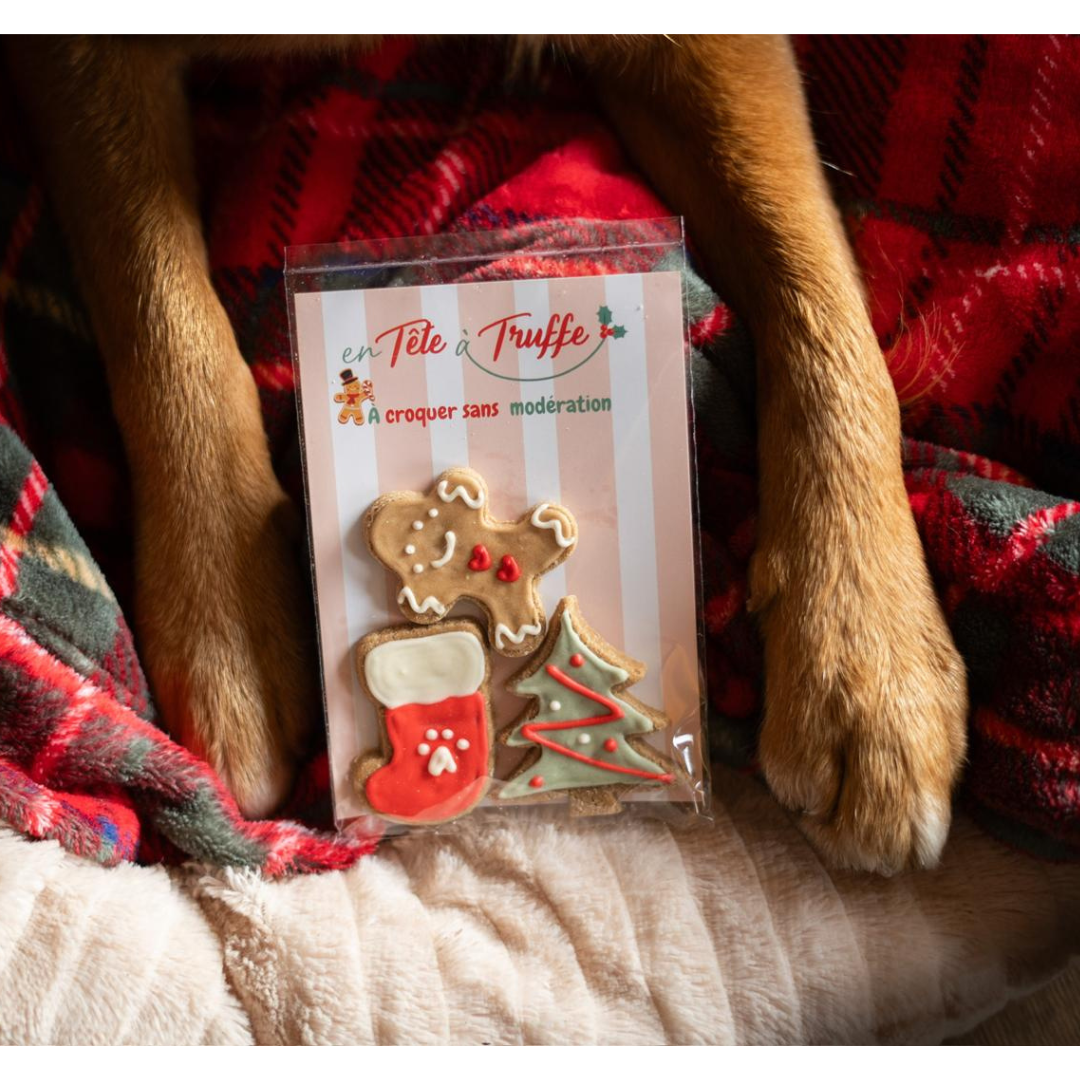 Sachet de 3 friandises pour chien – Edition Noël 🎄