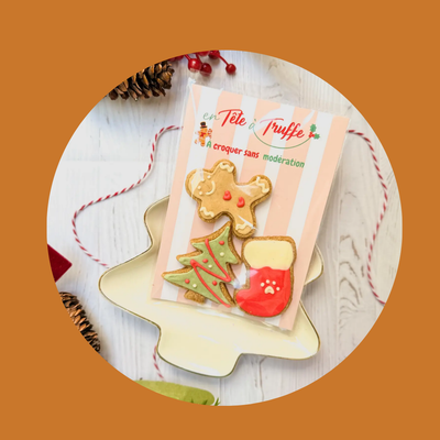Sachet de 3 friandises pour chien – Edition Noël 🎄