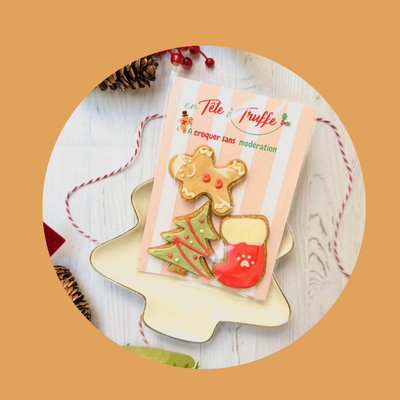 Sachet de 3 friandises pour chien – Edition Noël 🎄