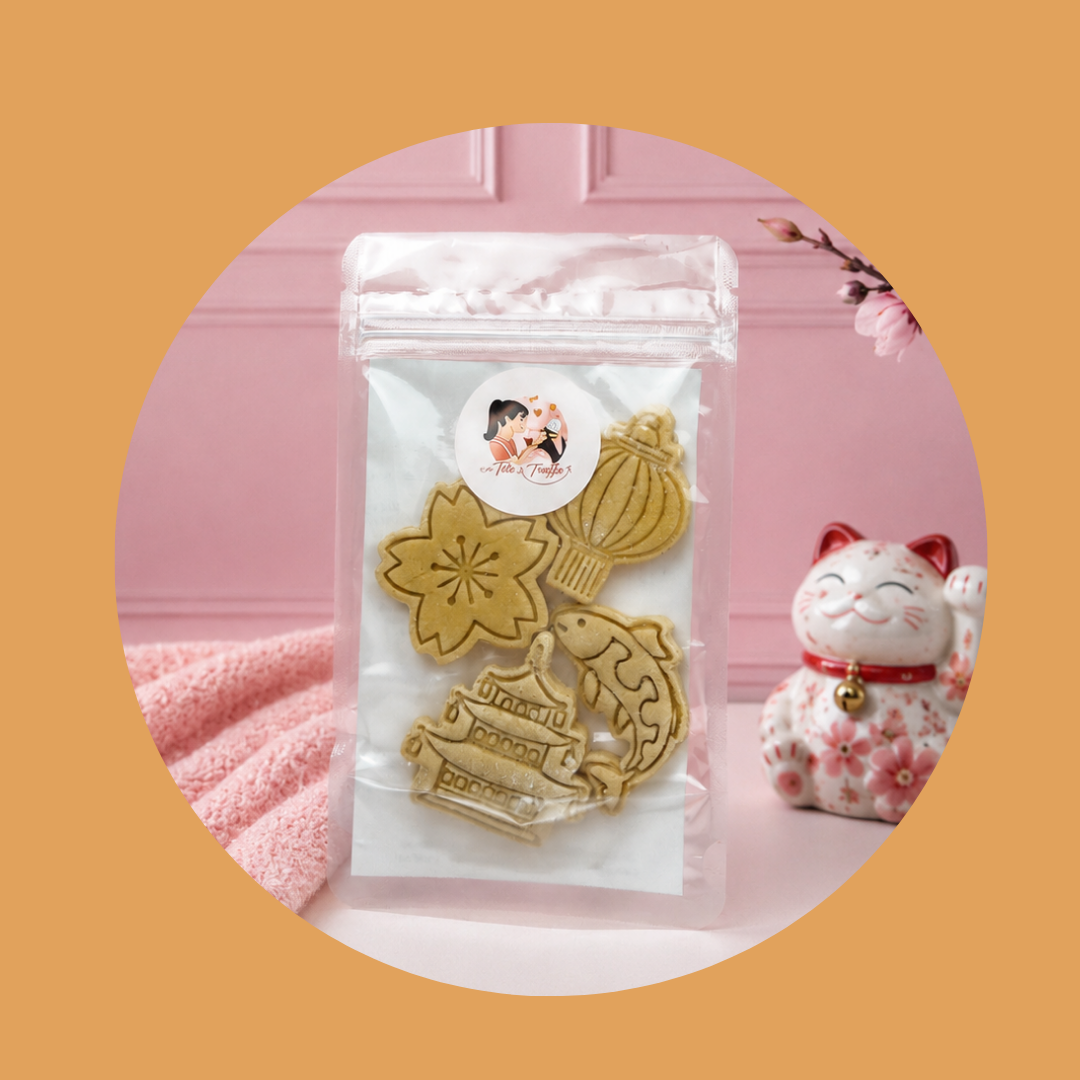 Biscuits pour chien, édition limitée JAPON (75 g)