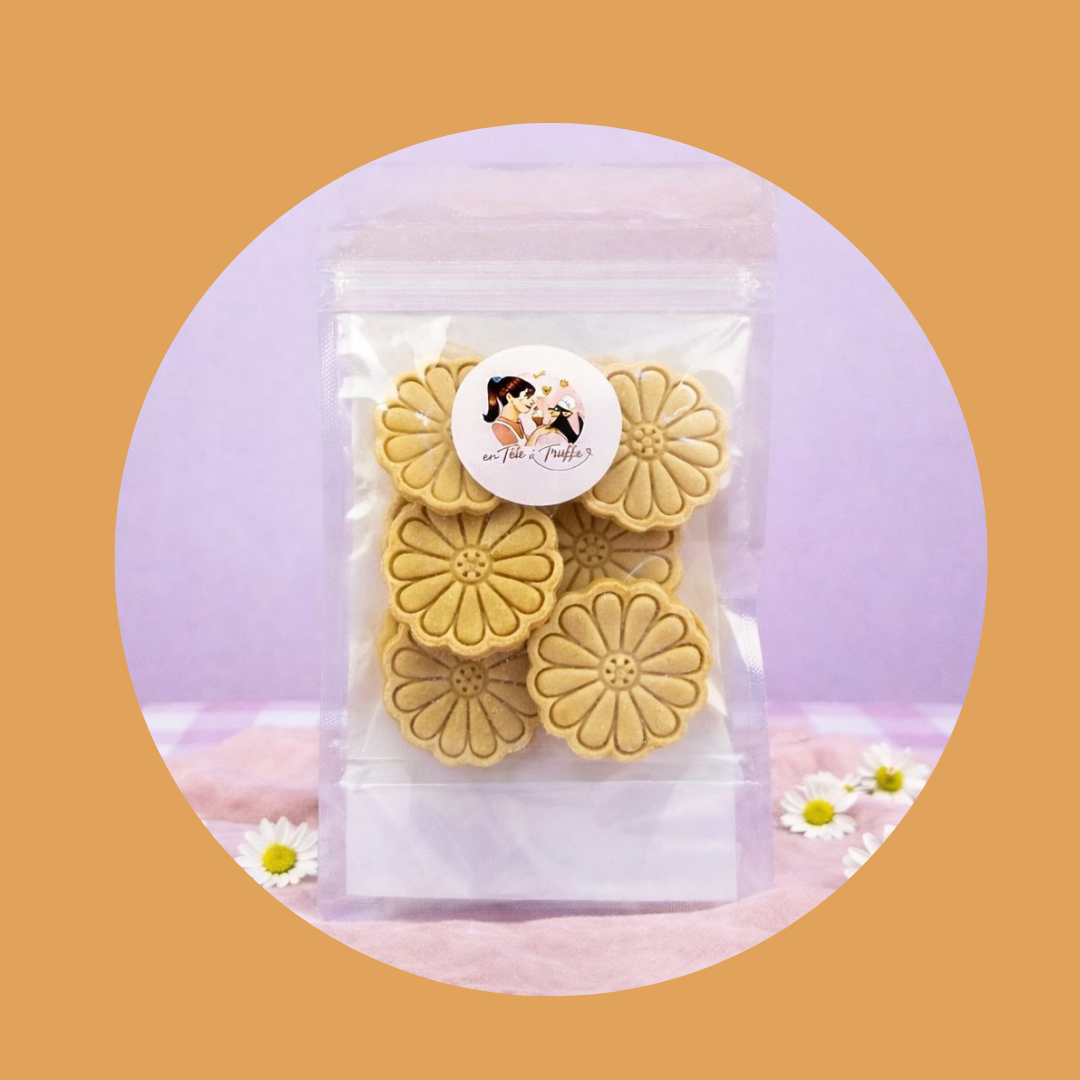 Biscuits pour chien, pomme et miel (75 g)