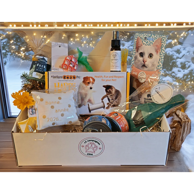 Matoobox 2nd chance - JANVIER 2026