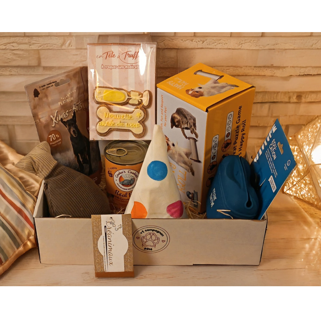 L'offre Complice Patoo - 3, 6 ou 12 mois de box