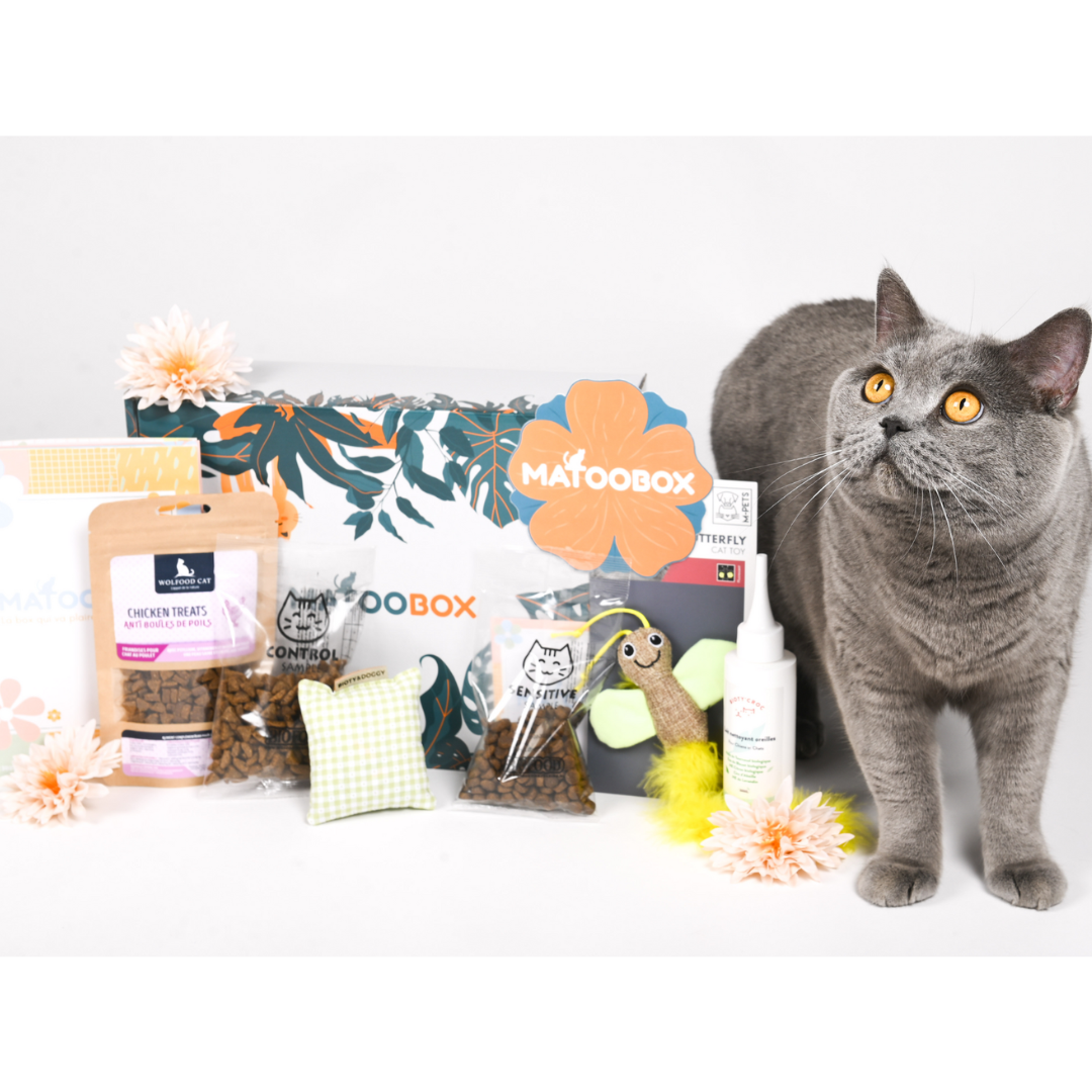 L’Offre Complice Matoo – 3, 6 ou 12 mois de box