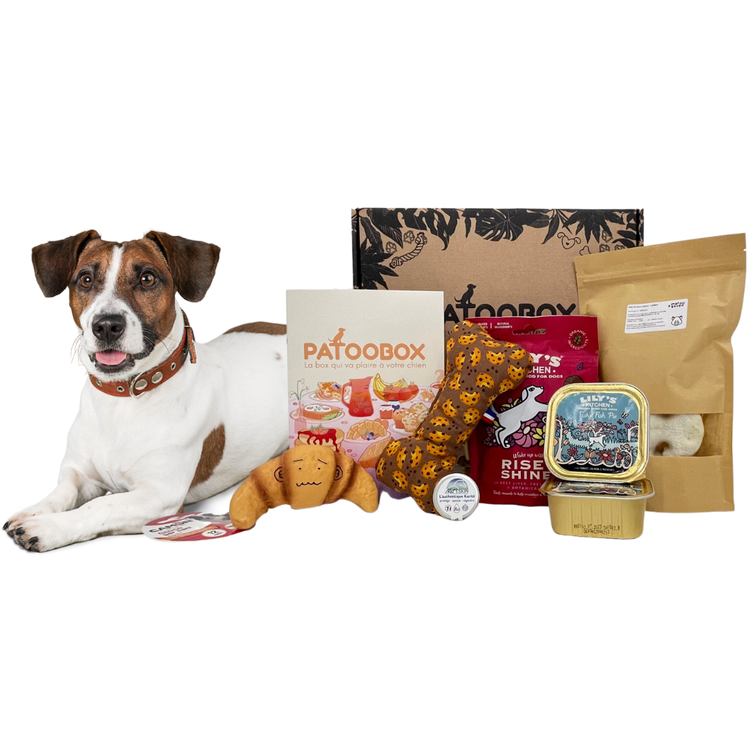 L'offre Complice Patoo - 3, 6 ou 12 mois de box