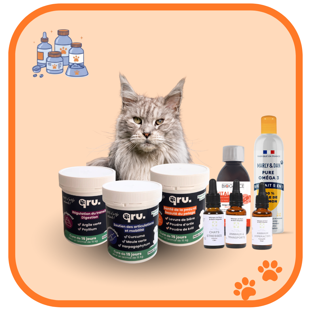 Compléments alimentaires chat