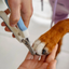 Coupe-griffes pour chien et chat – Puralia | Acier inoxydable