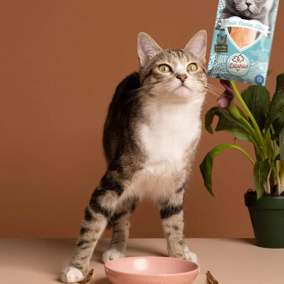 Filet de poulet grillé 100 % frais (25g)