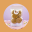 Friandises artisanales pour chien à la Pomme & Miel (6 biscuits - 75 g)