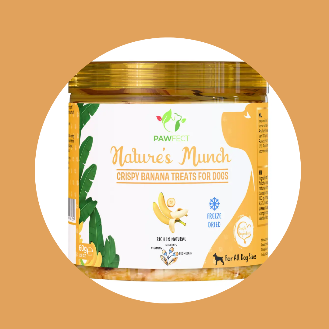 Friandises pour chien Pawfect – Nature’s Munch Banane 60 g | Banane lyophilisée
