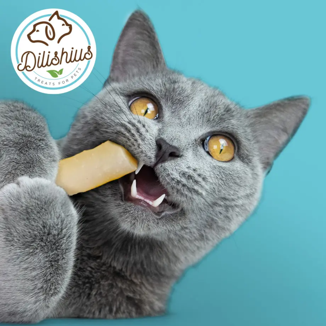 Friandises au fromage de chèvre (30g)