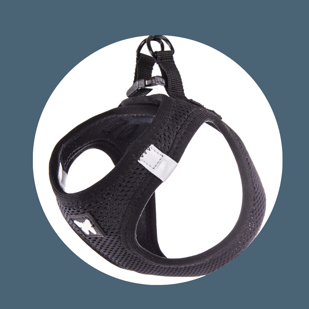 Harnais Mesh Noir (5 tailles)