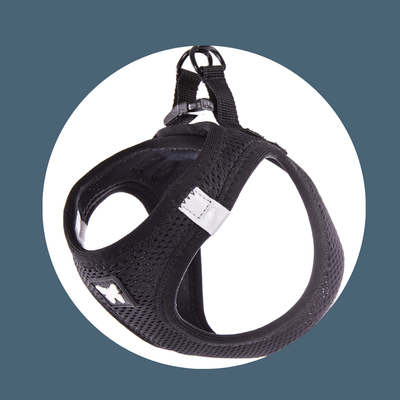 Harnais Mesh Noir (5 tailles)