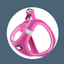 Harnais Mesh Rose (5 tailles)