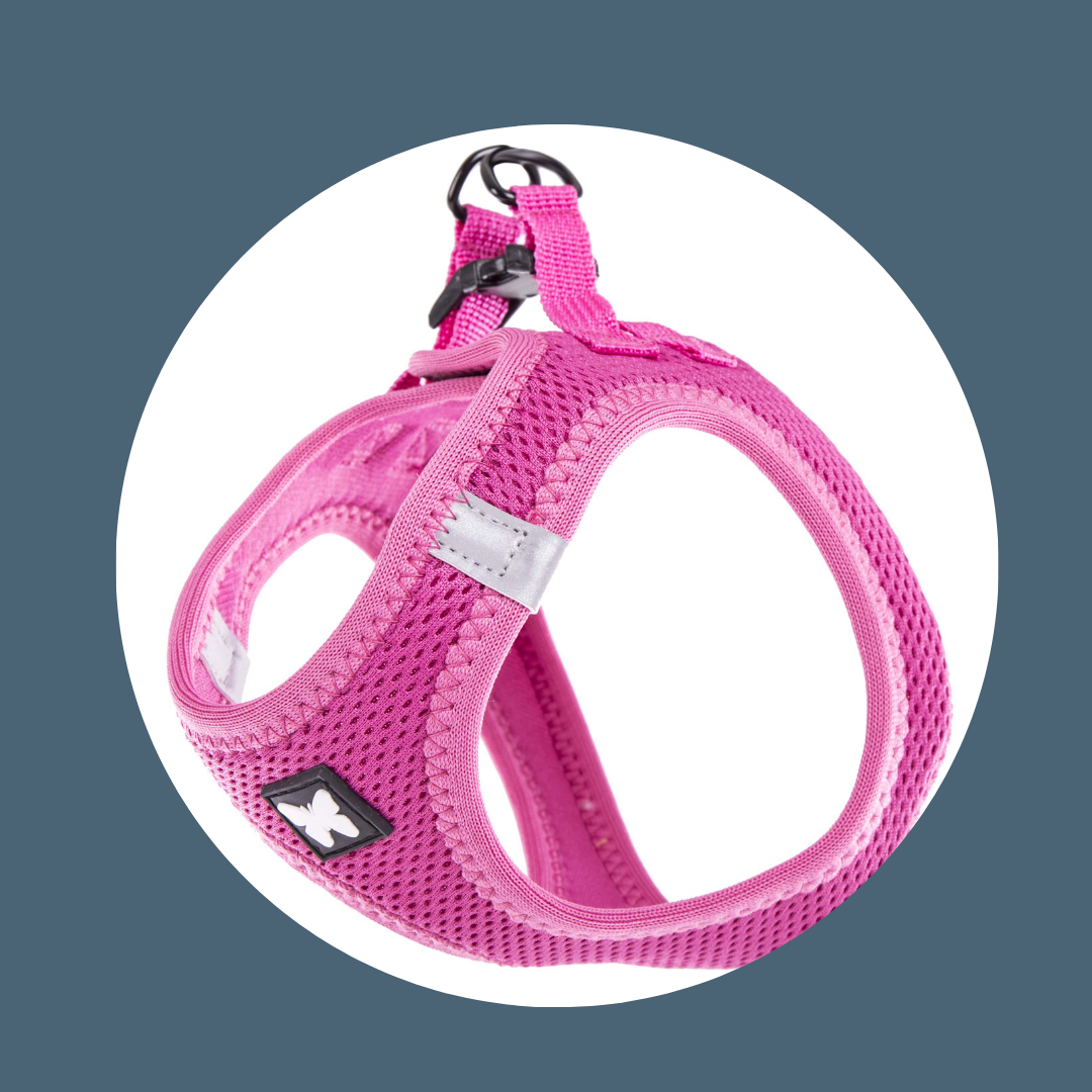 Harnais Mesh Rose (5 tailles)
