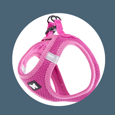 Harnais Mesh Rose (5 tailles)