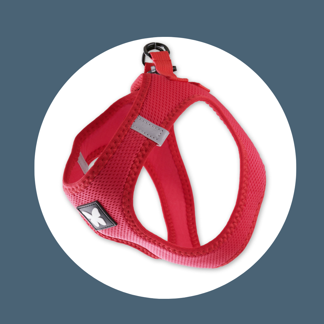 Harnais Mesh Rouge (5 tailles)