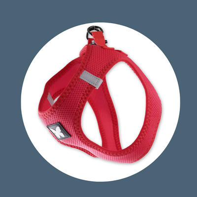 Harnais Mesh Rouge (5 tailles)