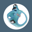 Harnais Mesh Turquoise (5 tailles)
